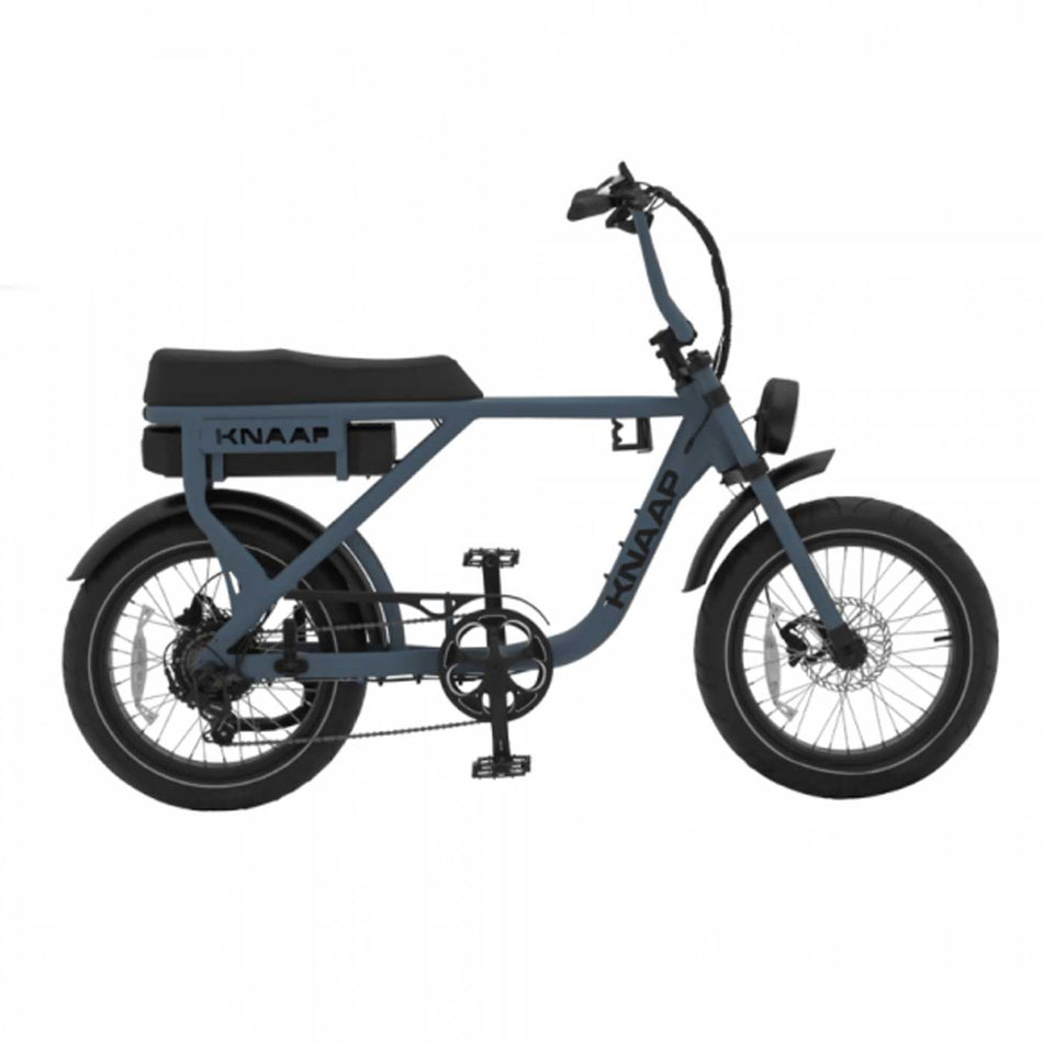 Vélo biplace Knaap AMS X