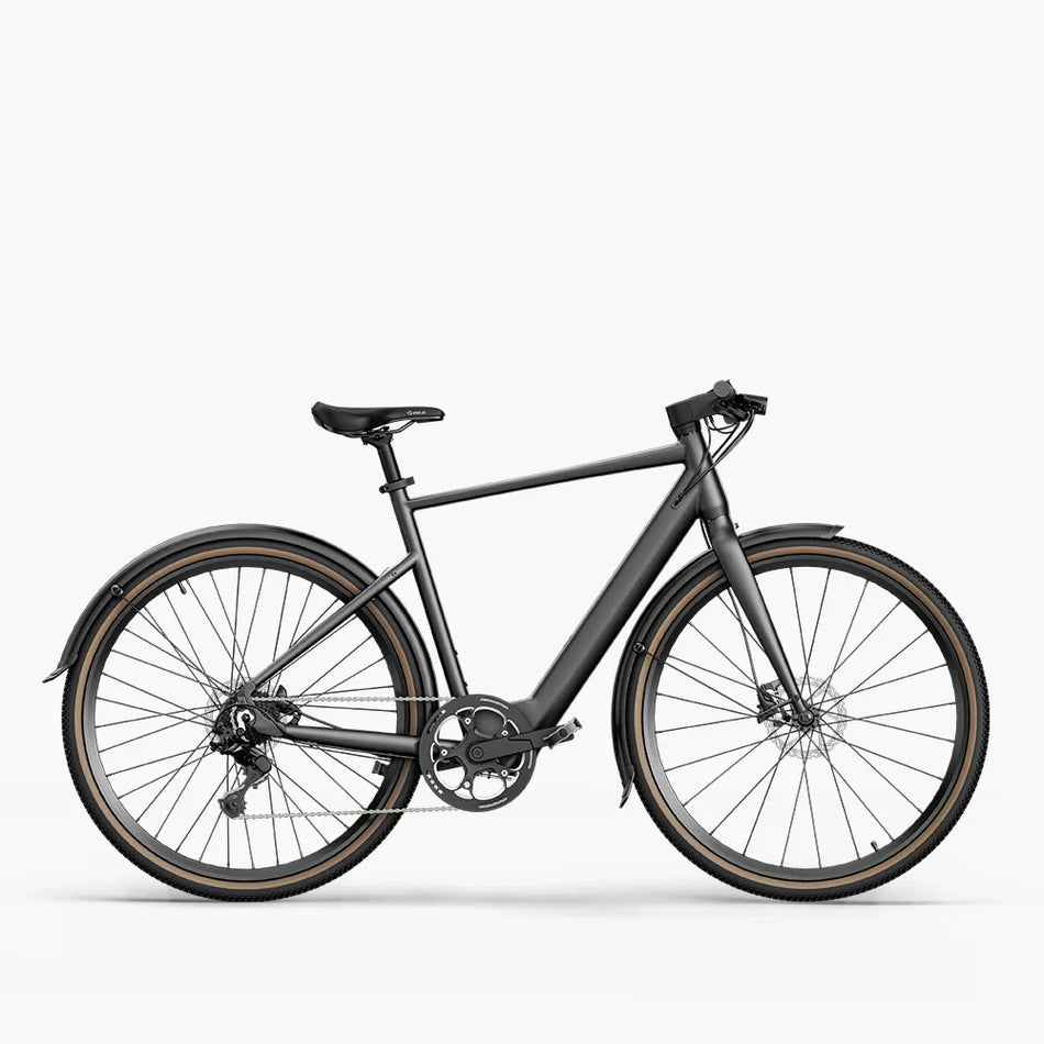 Fiido C21 E-Gravel & Vélo électrique Urbain