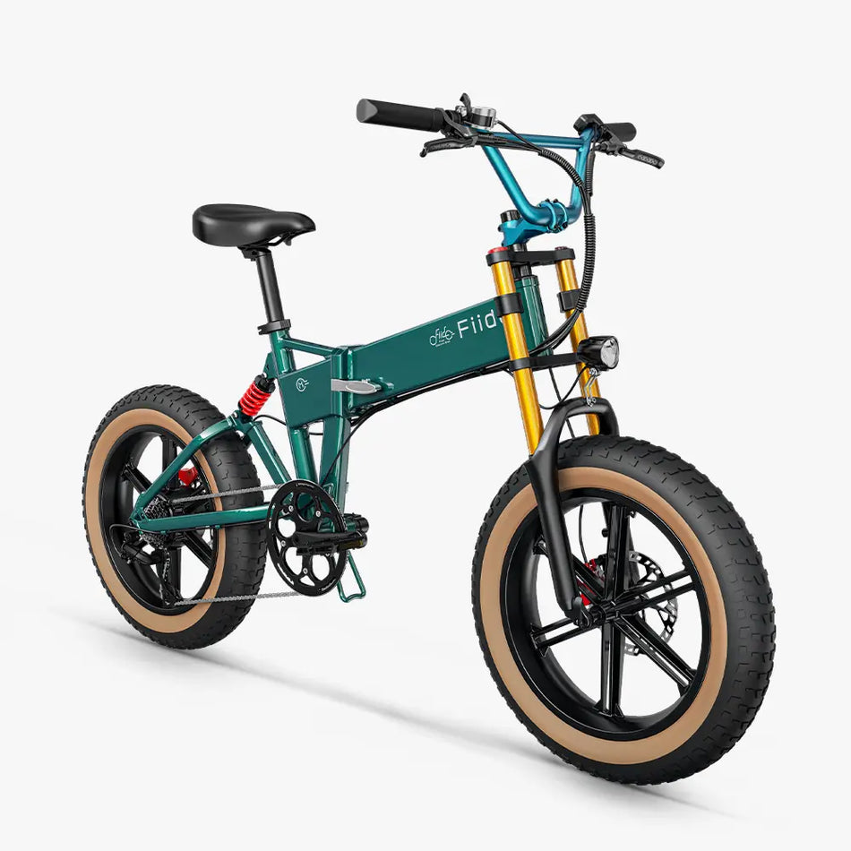 Fiido M1 Pro Vélo électrique