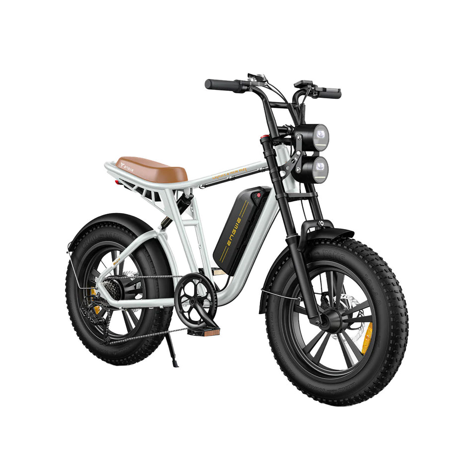 ENGWE M20