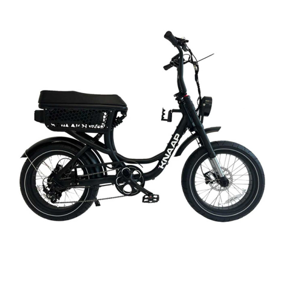 Vélo électrique biplace Knaap Lon